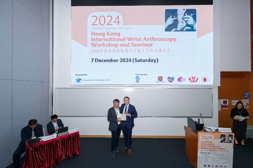 HK Wrist Course 2024- Seminar  - 134 of 257